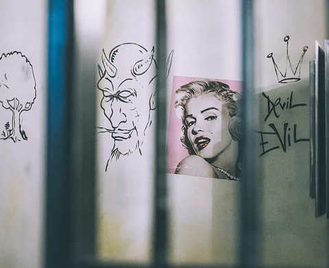 Drawings and hidden clues on the cell wall