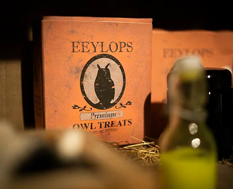 Magische Eeylops Owl Treats Requisite im World of Magic Escape Room